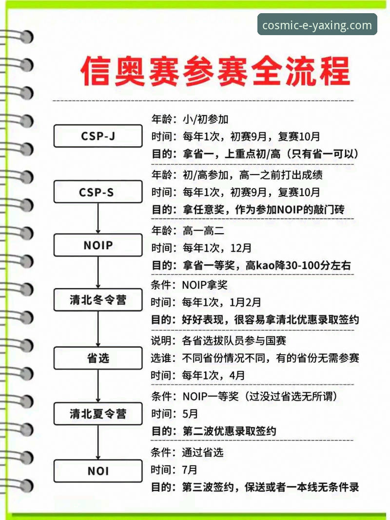 亚星体育平台赛事深度解析与观赛操作教程